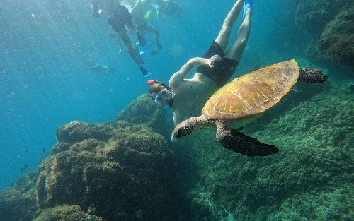 Easy Booking Tourism - Dibba Sea Safari Fujairah